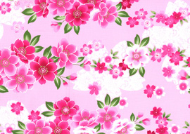 千代桜 ピンク