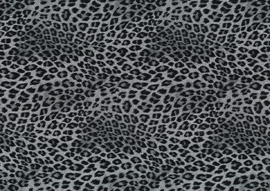 ヒョウ 黒