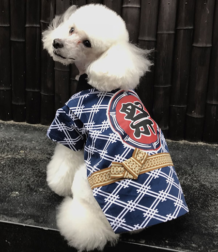 ペット用　はっぴ