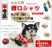 わんこ用鯉口シャツ受注会のお知らせ