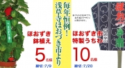 毎年恒例！浅草寺ほおづき市より…Wチャンス！