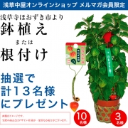 3年振り開催！浅草寺ほおずき市より&hellip;Wチャンス！	