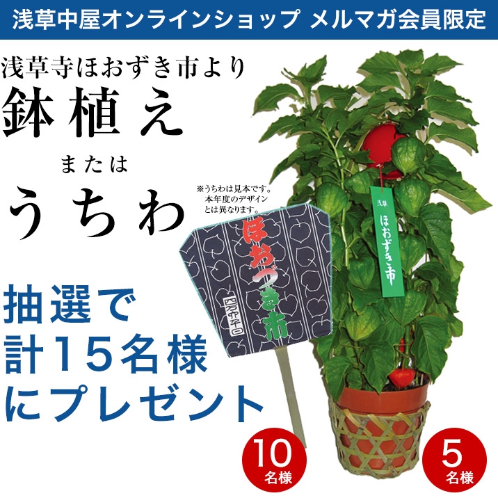 毎年恒例！浅草寺ほおずき市より…Wチャンス！	