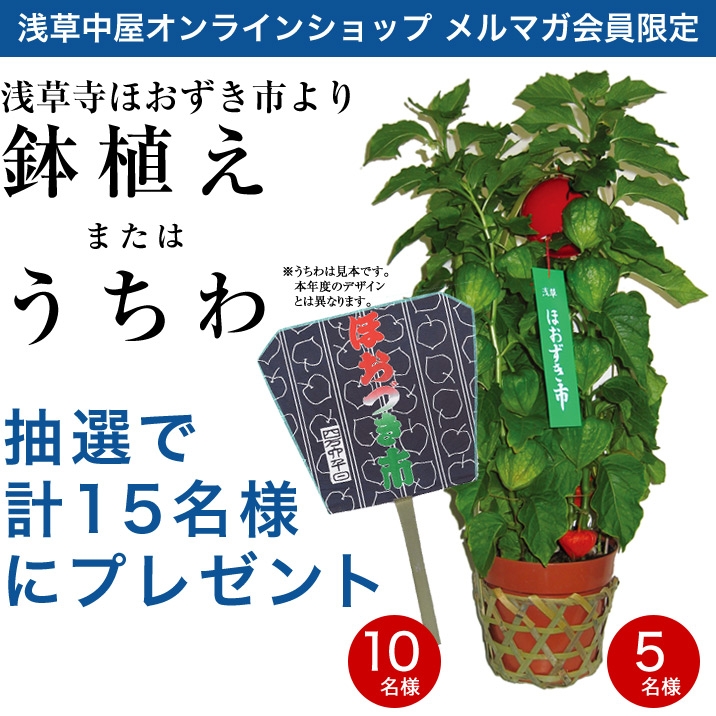 毎年恒例！浅草寺ほおずき市より…Wチャンス！	