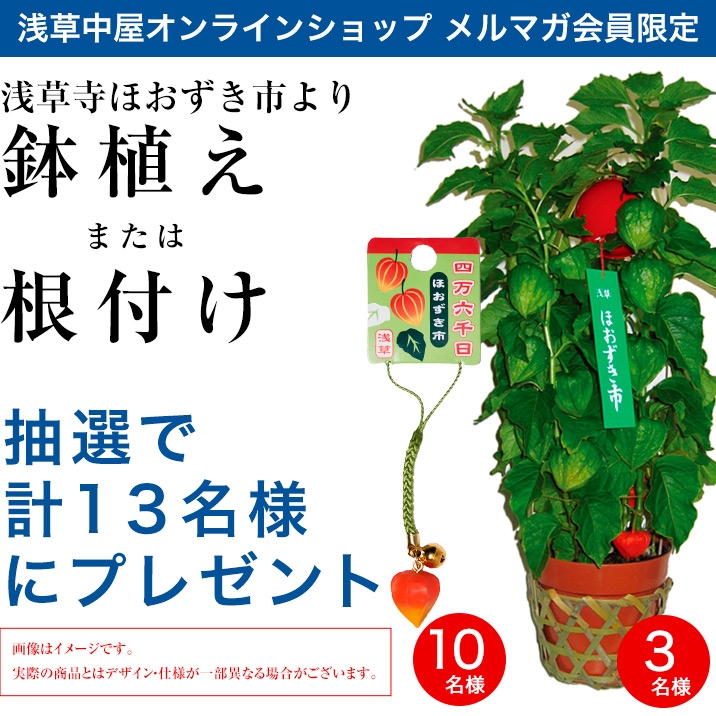 3年振り開催！浅草寺ほおずき市より…Wチャンス！	